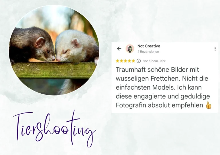 Bewertung und Erfahrung mit Marianne Schreier