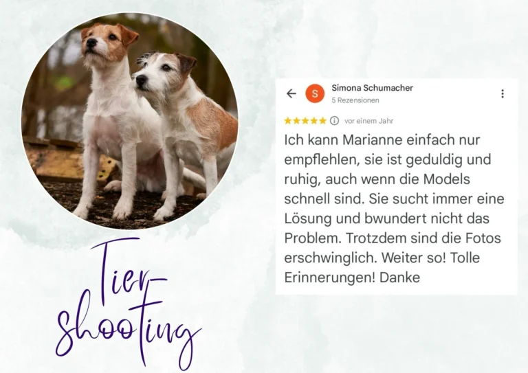 Erfahrung und Bewertung Marianne Schreier