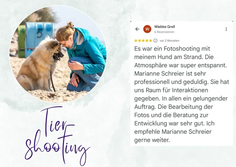 Link zum Shop von Marianne Schreier