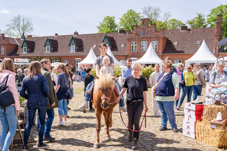 Eventfotografie von Marianne Schreier - Fotografin und Mamarazzi in Ostholstein
