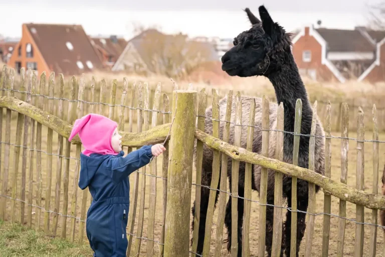 Familienfotografie - Fotografin und Mamarazzi - Marianne Schreier