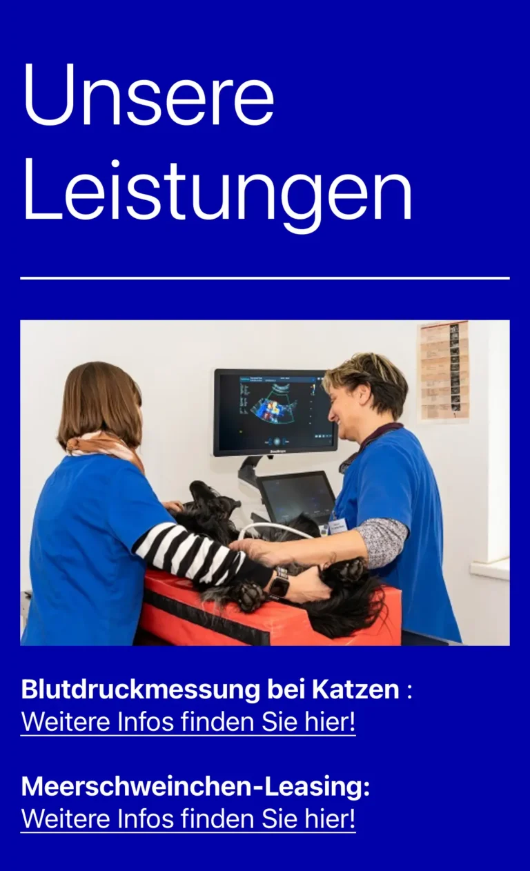 Veröffentlichungen von Fotografin Marianne Schreier