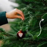 Weihnachts-Mini-Shooting zwischen Tannen mit Fotografin Marianne Schreier