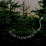 Weihnachts-Mini-Shooting zwischen Tannen mit Fotografin Marianne Schreier