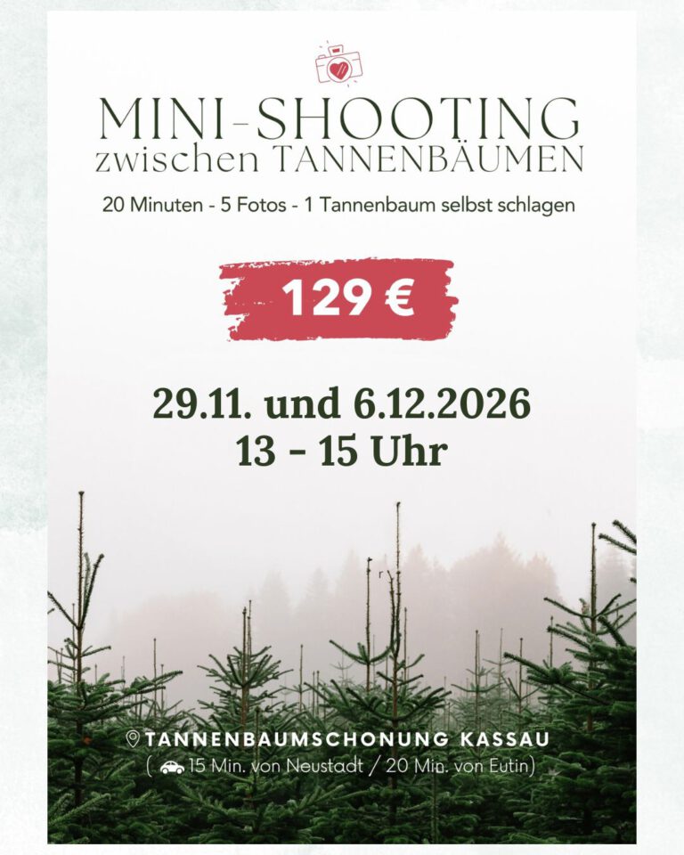 Weihnachtsminishooting in den Tannen